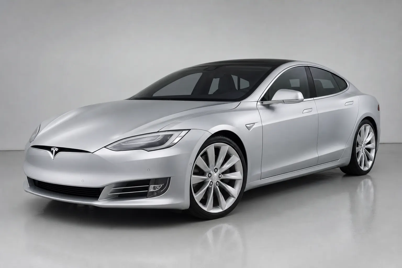 2019 Tesla Model S 100D catalogue illustration